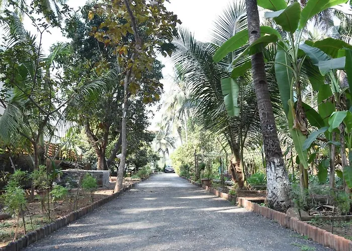 Bapunchi Wadi, Beach-House